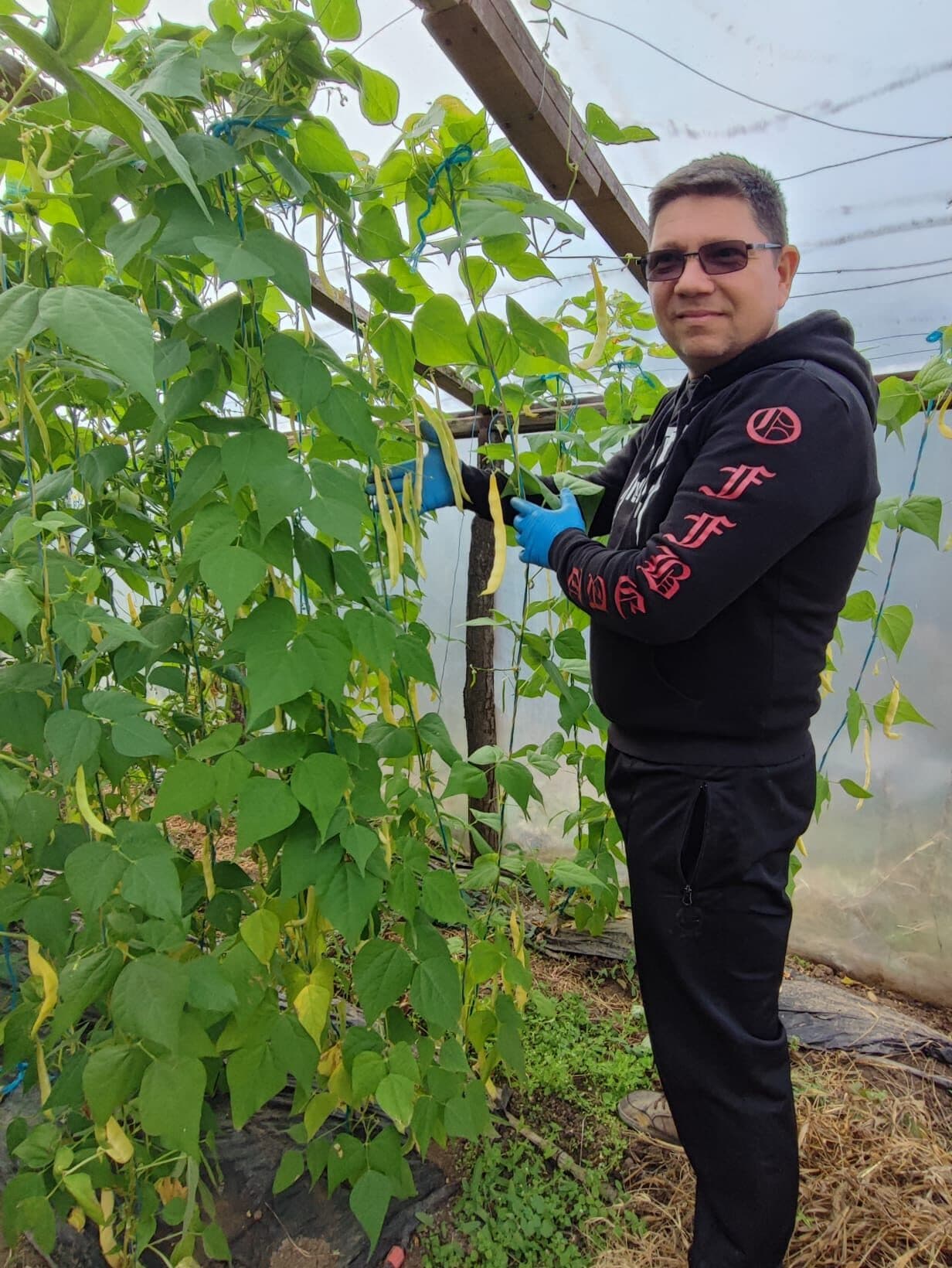 Claudiu în solarul lui, printre rândurile de plante